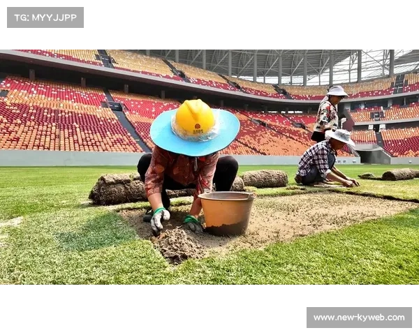 全新灌溉系统助力流明球场升级为世界杯级天然草坪 全新灌溉系统助力流明球场升级为世界杯级天然草坪